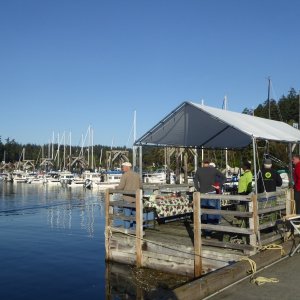 Friday Harbor 009 - Saturday Morning
