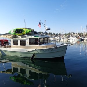 SEA DAISY arrives!