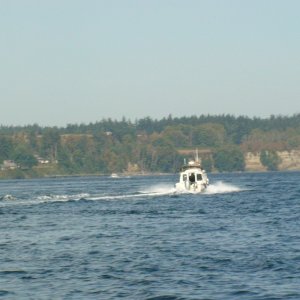 DSC00003