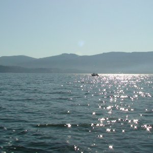 DSC00004