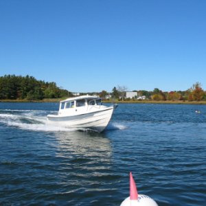 Widget  fall day

 Great Bay, NH