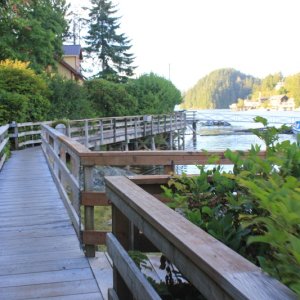 Bamfield boardwalk