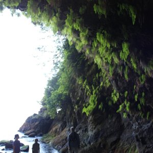 Effingham sea cave