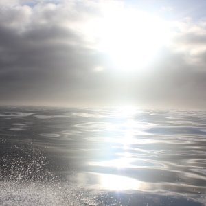 Calm morning heading offshore to fish