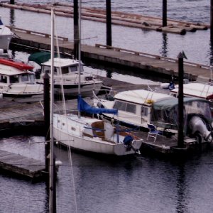 C-Dorys at Indian Cove 2009