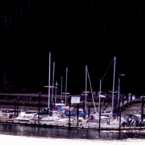 Indian Cove Marina 2009