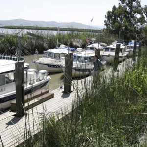The fleet moored at the Duck Club dock.