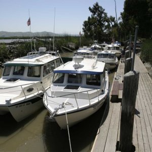The fleet moored at the Duck Club dock.