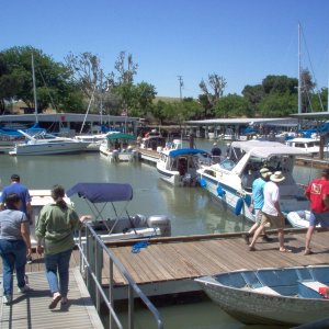 (Cygnet) C-Dory\'s at Rio Vista