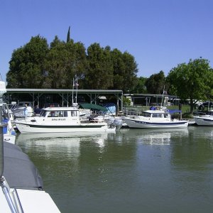 C-Dory line up at Delta Marina