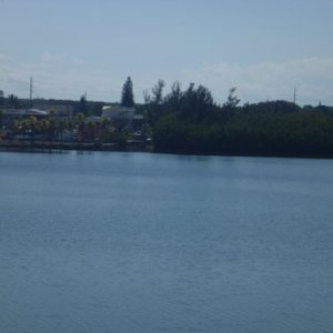 Gulf side of Marathon near the Black Fin Resort Marina