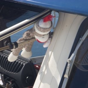 our Sock Monkey Will
