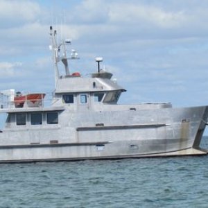 Tomcat's Aluminum Daddy seen in Buttonwood Sound Key Largo