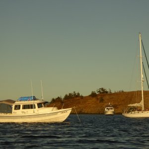 Saturday evening - lots of boats in the bay, as expected for a holiday weekend.