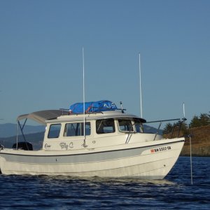 The Rocna 6 has not failed me yet, and the 20 kt breeze Saturday night further boosted my confidence