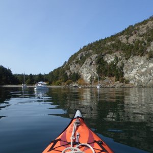 Back to Watmough Bay