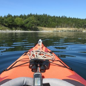Heading out on the 2nd kayak trip of the day, this time to Telegraph Bay and Cape St Mary