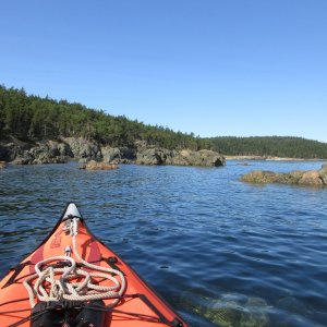 Continuing on along Cape St Mary