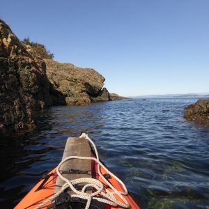 Dodging in and out of rocks in the shallows