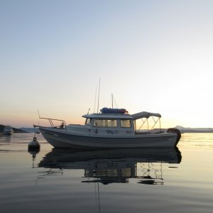 Monday morning in Watmough Bay