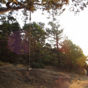 Rope swing at the top of Chadwick Hill