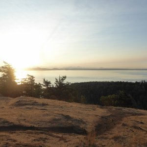 Looking South