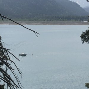 Media 'Halibut Cove.' in album 'Calm day in Kachemak Bay.'