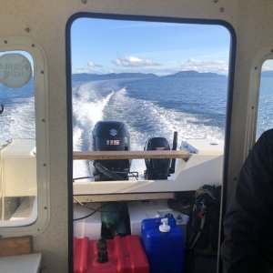Media 'Mild weather for October deer hunt' in album 'Calm day in Kachemak Bay.'