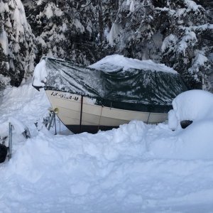 Media 'Buried by 50 inches of snow in December 2022' in album 'Calm day in Kachemak Bay.'