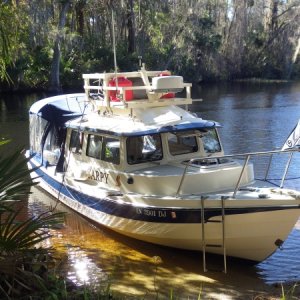 Salt Springs Run