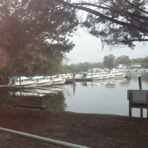 The Gathering at Hontoon Island