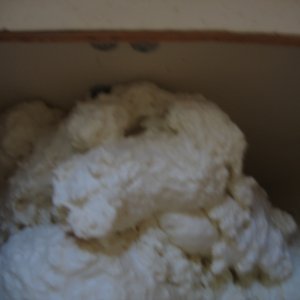 Factory said this was foam "FILLED".
