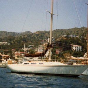 Dad's Catalina 38 in Avalon.  Did you know you could fit 17 of your closest friends on board?  Don't tell dad.  1980