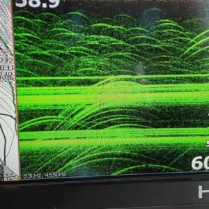 Lowrance Gen2 Display sample. YES all those marks are fish under Fresh Fish!