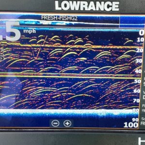 Lowrance Gen2 structure scan photo