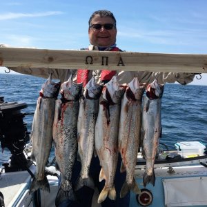 Fresh salmon and trout anyone?