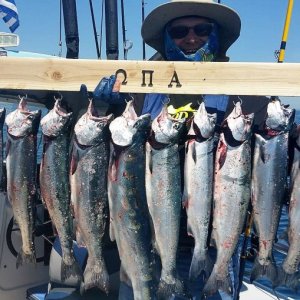 All Coho and one Steelhead caught outta Kenosha, WI.