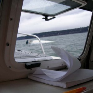Media 'Sinking boat, rescued by crew of Susan E' in album 'Sinking boat, rescued by crew of Susan E'