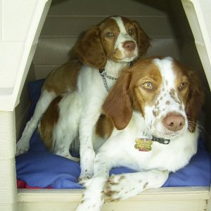 Sadie and Chloe