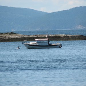 Shallow Bay