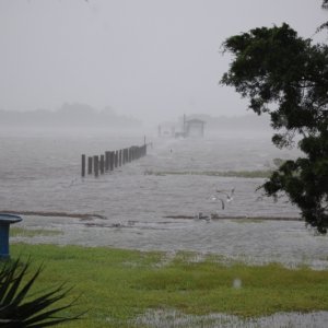 Media 'High tide water is 30' from house' in album 'Before high tide. The boathouse is 1,000 from front porch where picture was taken'