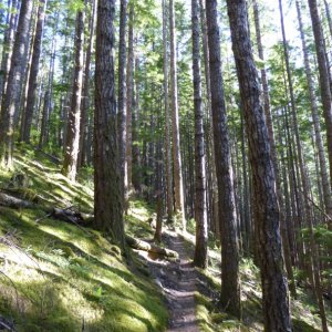 Trail to Newton Lake