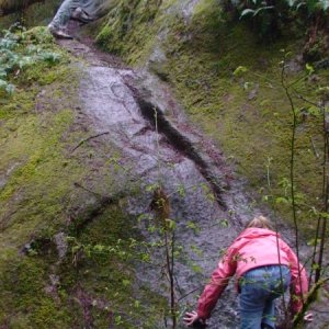 Getting to the Old Trappers Cabin