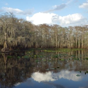 Deep Creek, near Lake Harney