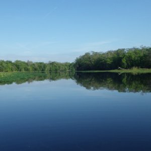 A beautiful morning on the Hontoon Dead River.