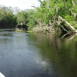Etonia Creek