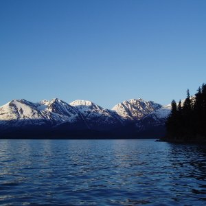 Media 'Beutiful deep blues spring 04'' in album 'Looking west out of Thumb Cove Resurrection Bay 04''