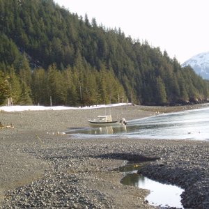 Thumb Cove spring 04'