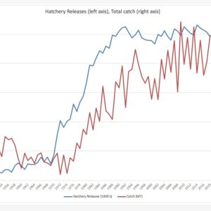 HatcheryReleasesAndGlobalCatch