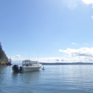 Sunday morning Eagle Harbor